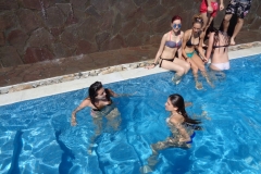DSC00388