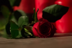 MKG_4197