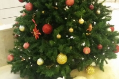 20161212_194954