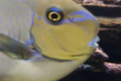 20161214_152427