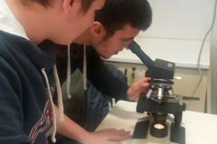 viber image7