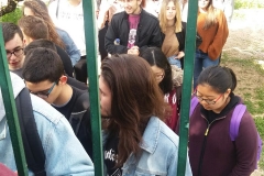 IMG-83c5f6937ccb464a862f91bdfca49a5a-V