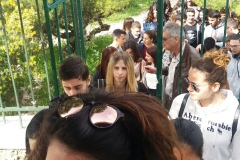 IMG-a838235d5920de50d65474e38f4905e8-V
