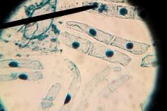 1698090598365