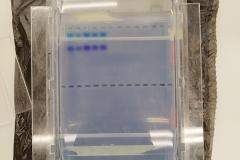 Bio_2025_03