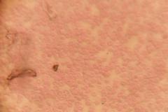 Bio_2025_04