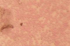 Bio_2025_05