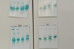 Bio_2025_07