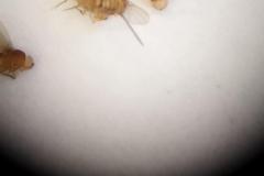 Bio_2025_08