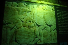 DSC08810
