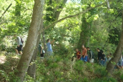 DSC08848