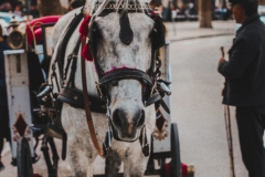 LRM_EXPORT_20190403_195353