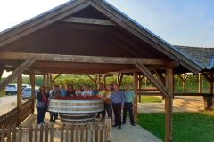 244394196_414965793397068_5496347882385751874_n