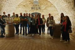 244607829_450720649665047_231517939545307380_n