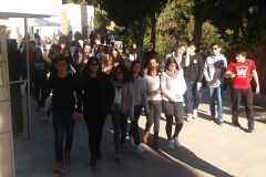 IMG-3b75062fc41d32fb71e76fbaa794dde4-V