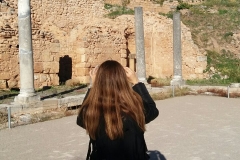 IMG-54d88a633d6feac08bc8ef2ee0019f67-V