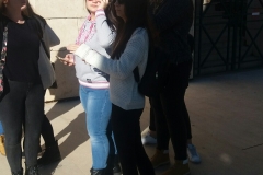 IMG-7e780860bc4f7cf4209feb08ccc783ee-V