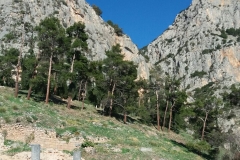 IMG-9e447b71cadb9396d5109bb88671ebd3-V