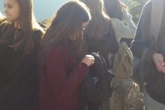 IMG-fbec5d1eb36156ad3ab986cc20905de8-V