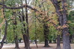 IMG_20181024_153158