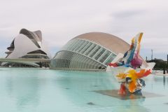 IMG_20190509_115344