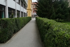 IMG_20180704_101650