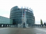 Euroscola day (c)