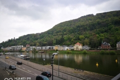 18143121_1744179135873267_648260031_n (1)