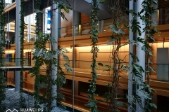 18197408_1744643779160136_1936557428_n (1)