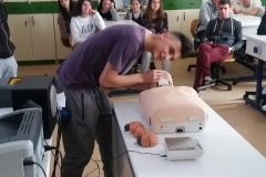 IMG-7b85c395795020544c08c10cd9768e45-V