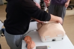 IMG-7ced662958b02ec080f124980bb46ba1-V