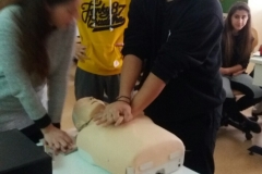 IMG-807beea9b5fb7a0ae87c7c62f4be1979-V