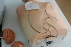 IMG-a1aa85bc944e52035273c81de4d1fc22-V