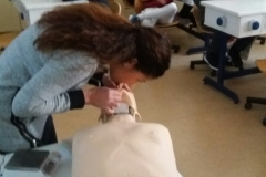 IMG-e6db4f75b1f04235d95d8b9d4a739183-V